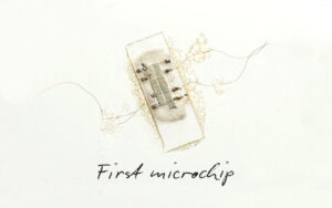 First-microchip-Meteca